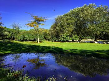 Scenic view of golf course by lake against sky