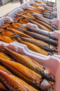 High angle view of fish for sale at market