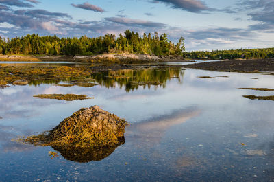 Reflection of tree on lake against sky