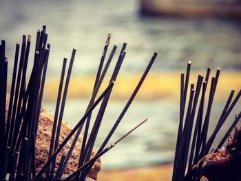 Close-up of burning incense stick 