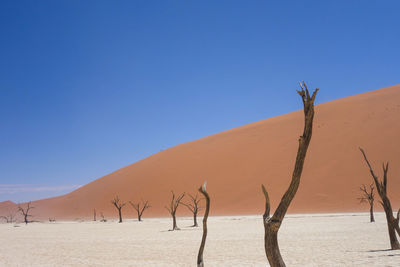 Scenic view of desert against clear blue sky