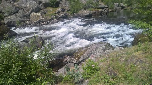 Scenic view of waterfall in forest