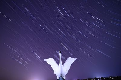 Low angle view of swan sculpture against star trail
