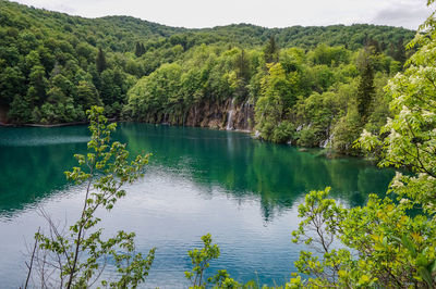 Scenic view of lake in forest against sky