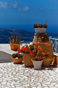 Potted plants on table by sea against sky