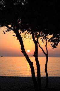 Silhouette tree by sea against sky during sunset