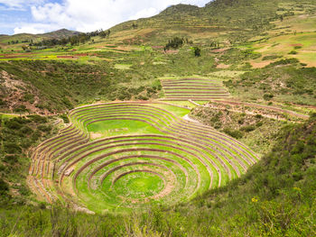 High angle view of agricultural landscape