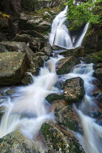 View of waterfall in forest