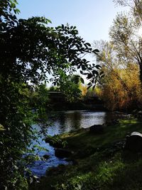 Scenic view of lake in forest against sky