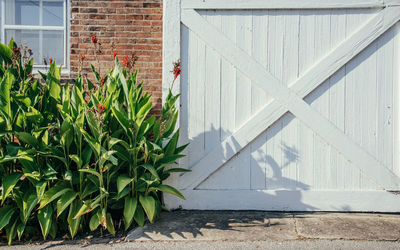 View of plants in front of building