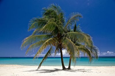 Scenic view of beach against blue sky