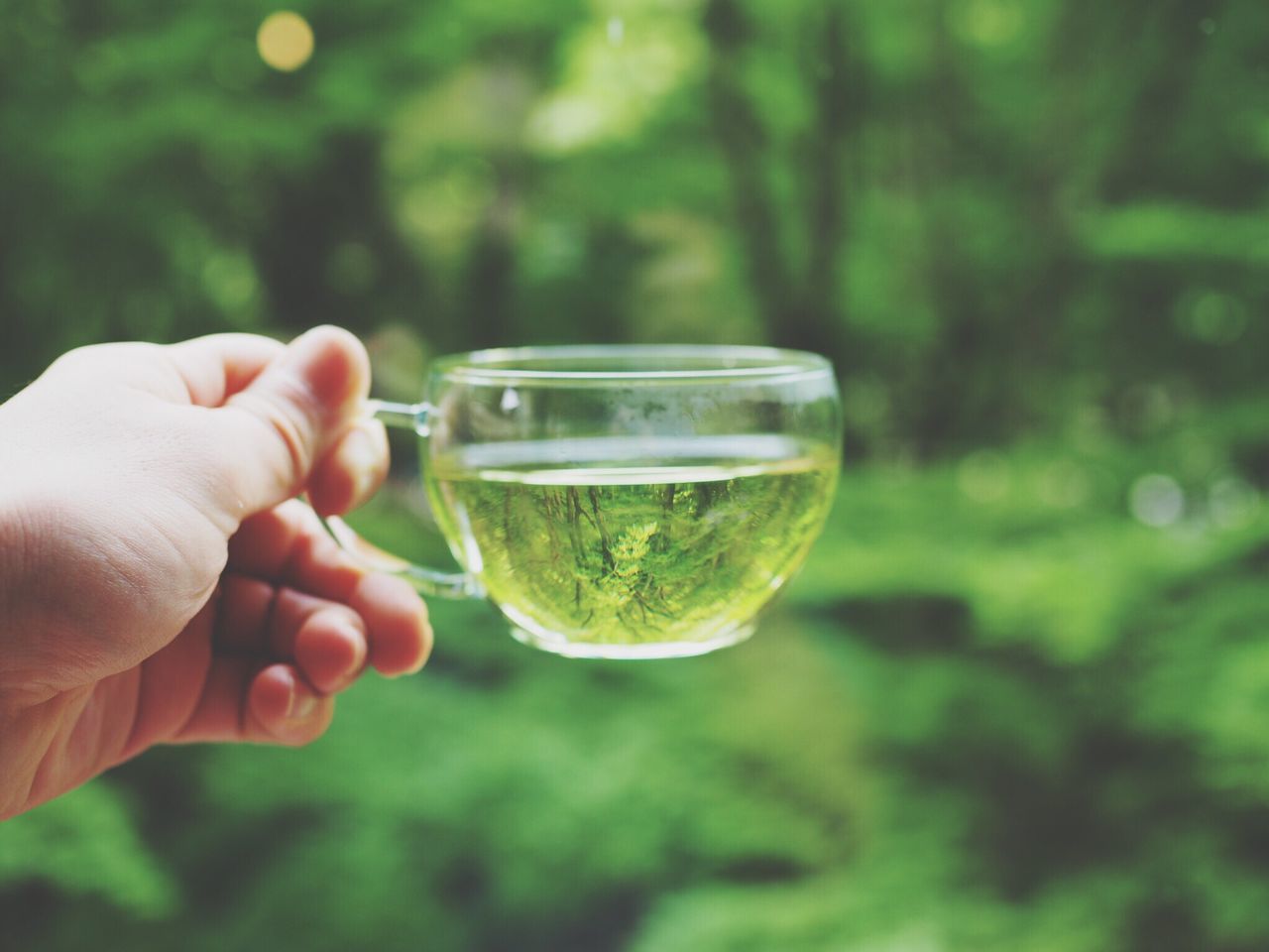 human hand, hand, holding, focus on foreground, real people, one person, green color, human body part, plant, transparent, nature, day, glass, unrecognizable person, close-up, refreshment, lifestyles, glass - material, outdoors, finger