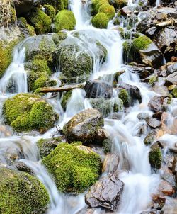 Stream flowing through rocks in forest