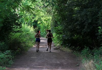 Rear view of women walking on footpath in forest