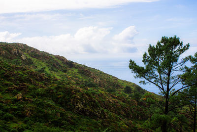 Scenic view of green landscape against sky