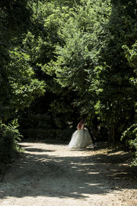 People walking on road amidst trees