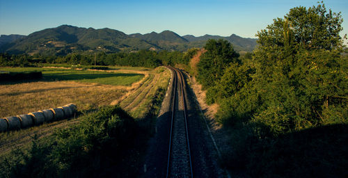 Railroad track amidst trees against sky