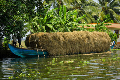 Side view of boat in river against trees