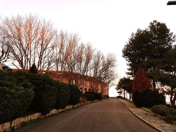 Road amidst trees against clear sky