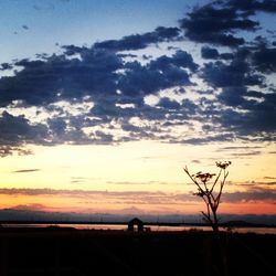 Scenic view of landscape at sunset