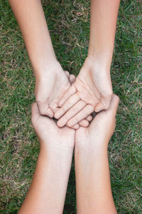 Directly above shot of cropped hands over grass