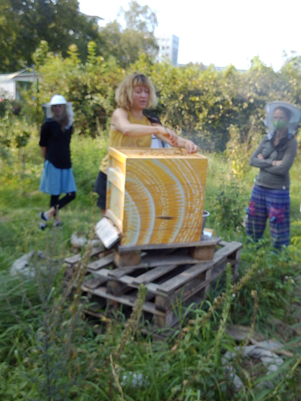 WOMEN STANDING BY PLANTS IN BASKET