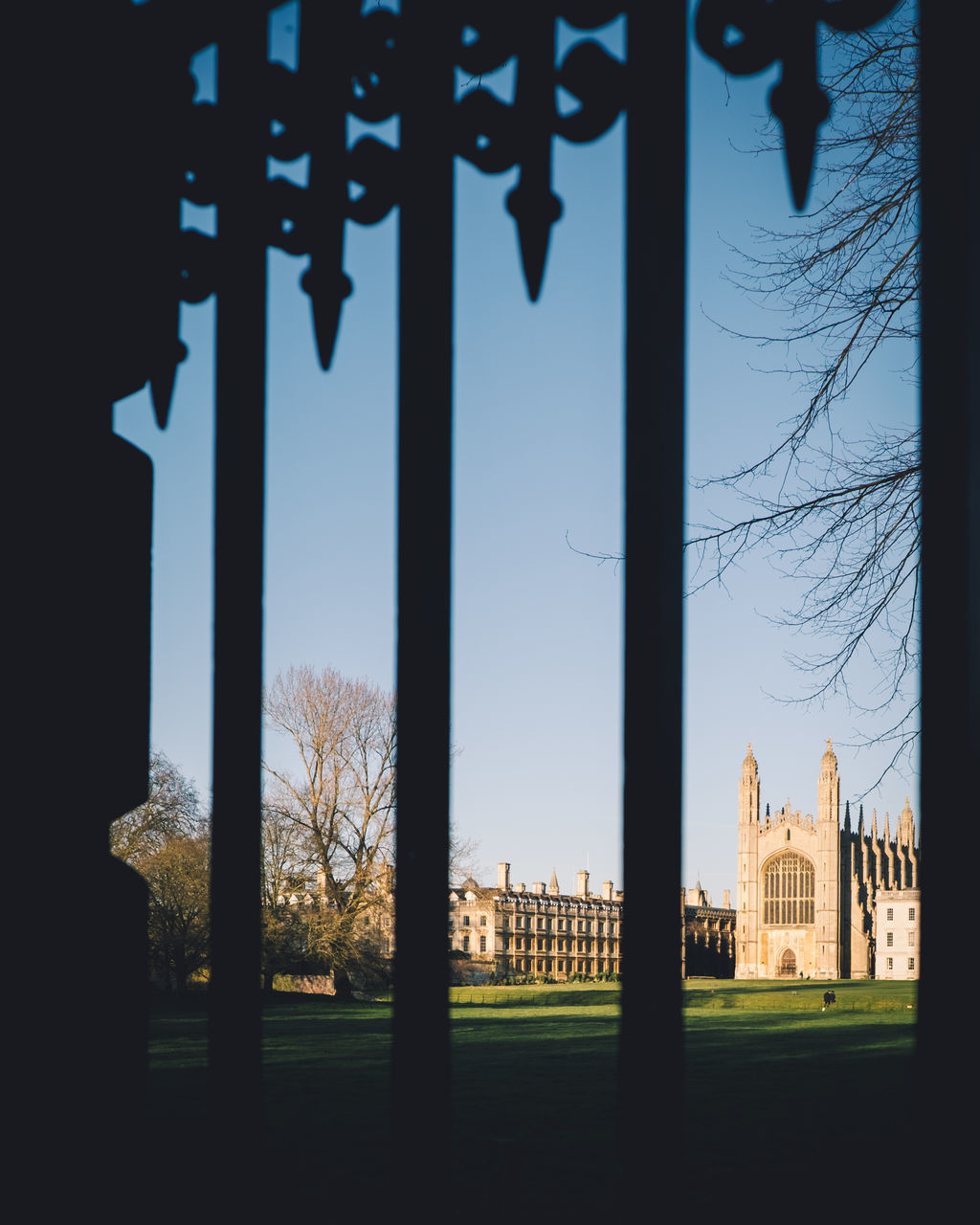 SILHOUETTE OF BUILDING AND TREES AGAINST SKY