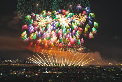 Low angle view of firework display at night