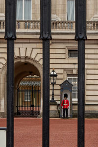 Guard standing outside buckingham palace