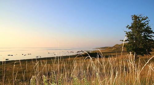 Scenic view of calm sea against clear sky