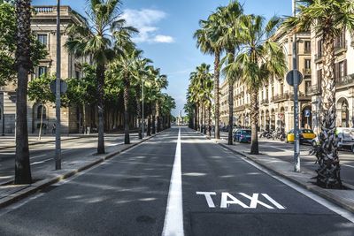 Road sign by palm trees in city