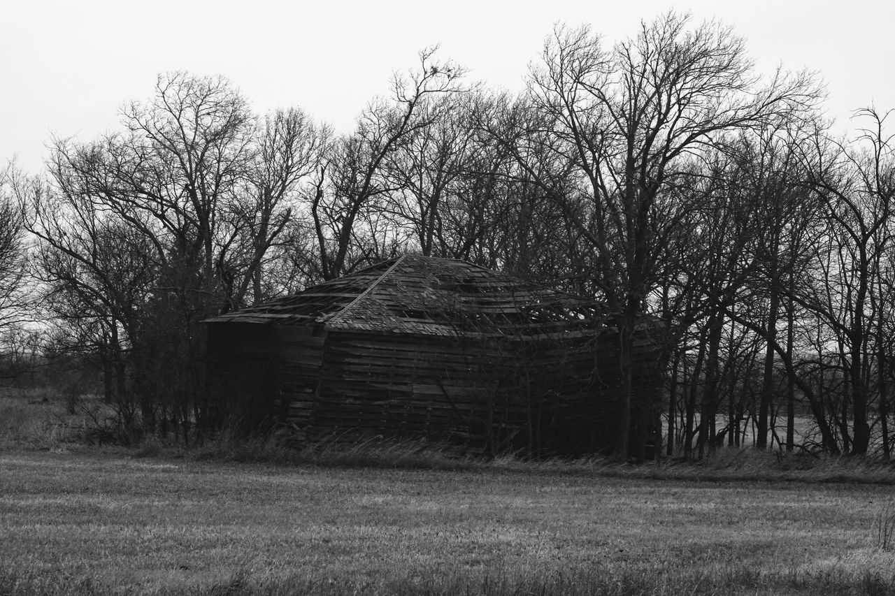 TREES IN FRONT OF BUILT STRUCTURE