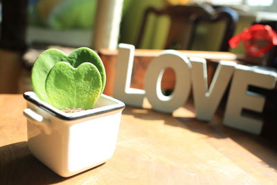 Close-up of word block  love on table, and heart shaped potted plant