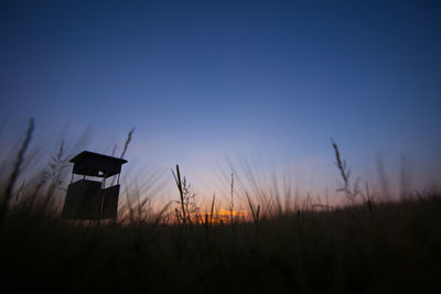 Silhouette plants on field against sky during sunset