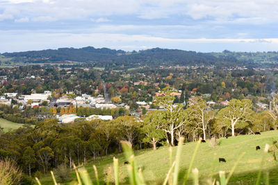 High angle view of trees on field against sky