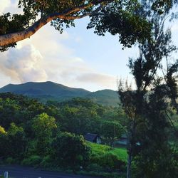 Scenic view of tree mountains against sky