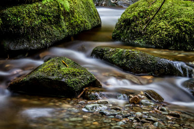 Stream flowing through rocks