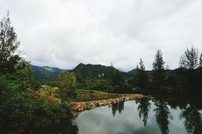 Scenic view of lake by trees against sky