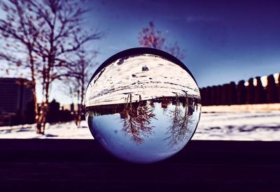 Close-up of crystal ball on glass against trees