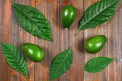 Directly above shot of green leaves on table