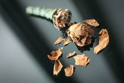 Close-up of wilted rose on glass table