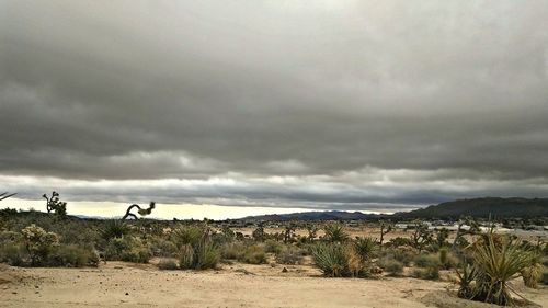 Scenic view of land against cloudy sky