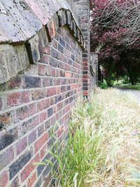 Brick wall of old building