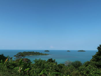 Scenic view of sea against clear blue sky