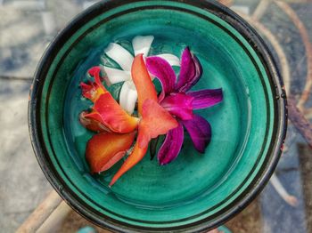 High angle view of flowers in water