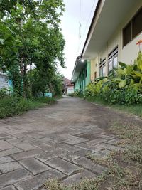 Empty footpath by buildings in city