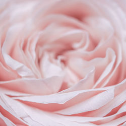 Full frame shot of abstract background