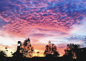 Low angle view of silhouette trees against dramatic sky