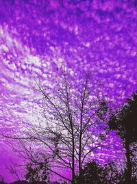 Low angle view of bare tree against sky