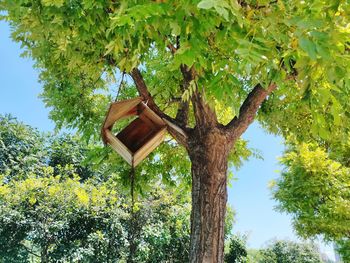 Low angle view of birdhouse on tree against sky